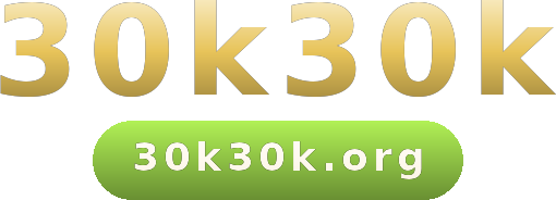 30k30k logo